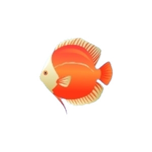 Red Discus